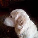 ���� �����, �����������, 61 ��� - ��������� 12 ����� 2016 � ������ ���� ����������