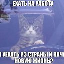 ���� �����, �����, 49 ��� - ��������� 6 ���� 2016 � ������ ������ ��������