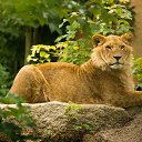 ���� �������, �����������, 48 ��� - ��������� 7 ��� 2016 � ������ ���� ����������