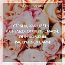 ���� ������, ������-��-����, 64 ���� - ��������� 9 ���� 2016 � ������ ������ ��������
