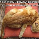���� ����, ����, 71 ��� - ��������� 29 ��� 2016 � ������ ������ ��������