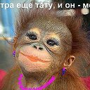 ���� ���� ������, ���������� - ��������� 30 ������ 2016 � ������ �������