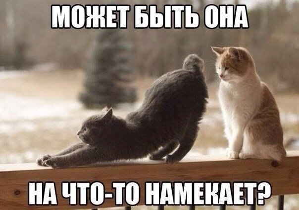 ���� - 13 ������ 2016 � 21:18