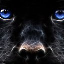 ���� *Bagira*, �������� - ��������� 30 ���� 2016 � ������ ���� ����������