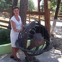 ���� ������, ��������� - ��������� 23 ���� 2016 � ������ ���� ����������