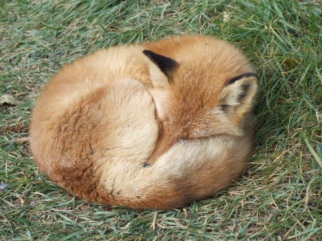   - 14  2016  16:07 - 8