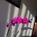 ���� ������, ������������, 42 ���� - ��������� 9 ������ 2016 � ������ ���� ����������