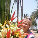 ���� �������, ���������� �����, 58 ��� - ��������� 24 ������ 2016 � ������ ���� ����������