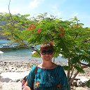 ���� ����, ������ - ��������� 24 ���� 2016