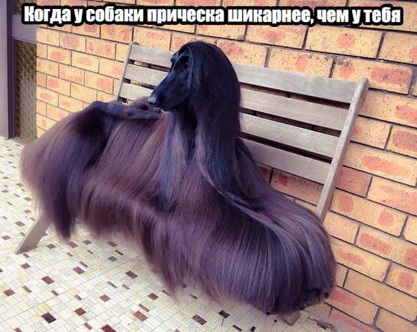    ר! - 1  2016  12:05