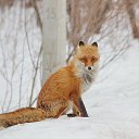 ���� ������, ������ - ��������� 23 ���� 2016 � ������ �Foto.ru�