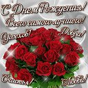 ���� ������, ����������� - ��������� 31 ��� 2016 � ������ ����� ��� ������������