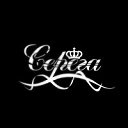 ���� Serzh&trade; Online, �����, 60 ��� - ��������� 29 ����� 2016 � ������ �SERZH�