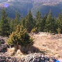 ���� ����� ������, �����, 61 ��� - ��������� 16 ������ 2016 � ������ ������ ��������