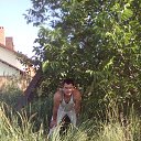 ���� �����, ��������� - ��������� 21 ���� 2016