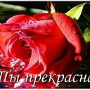 ���� �����, �����, 60 ��� - ��������� 31 ����� 2016 � ������ ������ ��������
