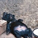 ���� �����, ������, 57 ��� - ��������� 18 ������ 2016 � ������ ���� ����������