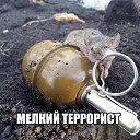 ���� ����, �����������, 43 ���� - ��������� 5 ������ 2016 � ������ ���� ����������