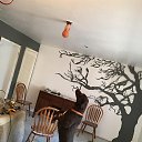 ���� ����, ���������, 41 ��� - ��������� 13 ��� 2016 � ������ ���� ����������