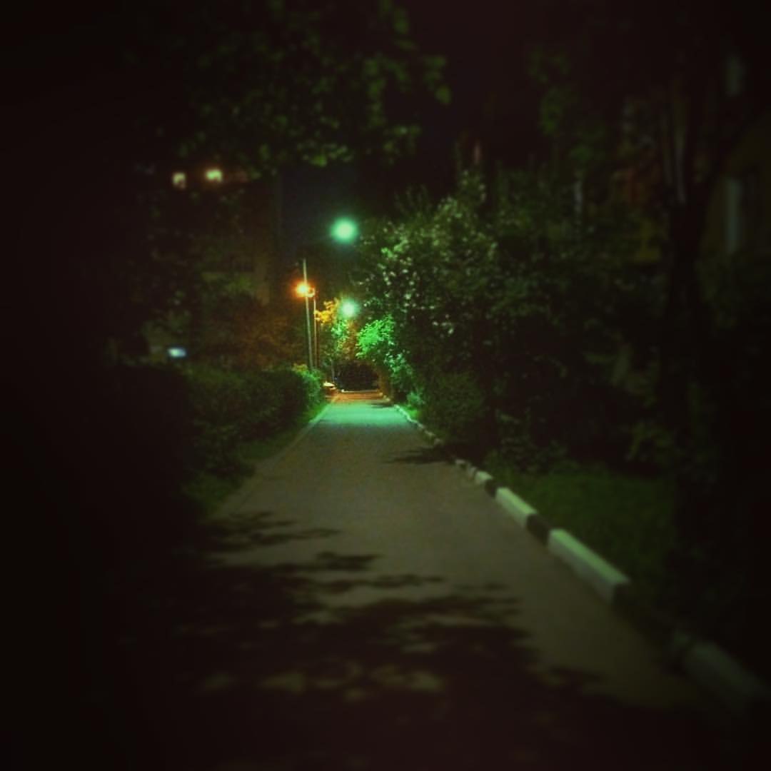 The green way in night.    . #night #green #way #road #walk # # # ...