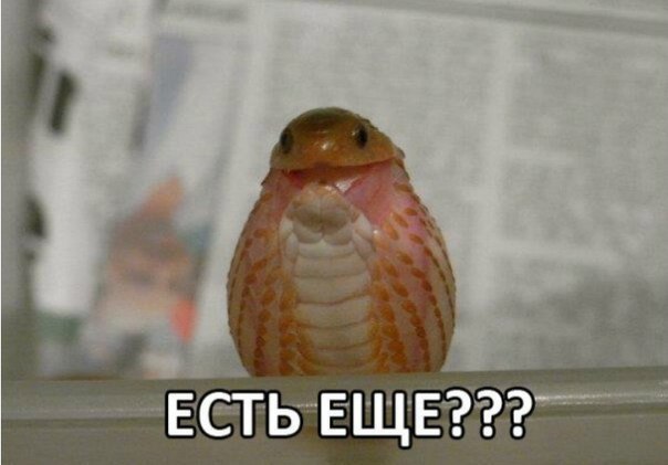 ������ �� ��� :D - 30 ������ 2016 � 04:06 - 4