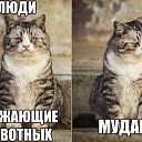 ���� �����, �����, 66 ��� - ��������� 25 ����� 2016 � ������ ���������
