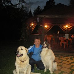 ���� ������, ������� - ��������� 3 �������� 2016