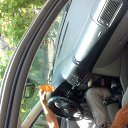 ���� ����, ��������, 41 ��� - ��������� 5 ���� 2016 � ������ ���� ����������