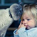 ���� ����, ������� - ��������� 11 ������ 2016 � ������ ��������