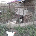 ���� ���������, �������������� - ��������� 8 �������� 2016 � ������ �����