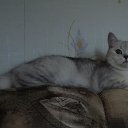 �������. �.�. 17.06.2015� �� ������� �� ������ ����.�