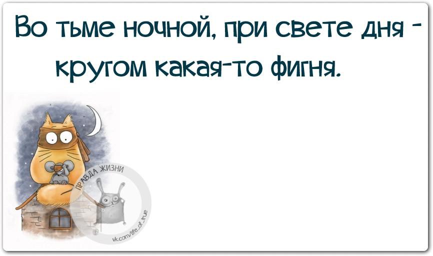 Все собрал какой ценой. Красавица какая стоит светло сверкая. Какая то стоит. Гайдай какой-то горько 2. Клиентоориентированность юмор.