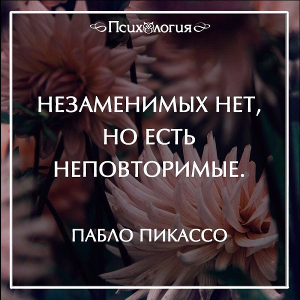 Jolanta - 11  2016  17:14