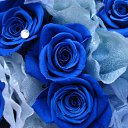 ���� *Ni��*, ������ - ��������� 6 ��� 2016 � ������ ���� ����������