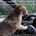 ���� � �������))*�������, ������, 66 ��� - ��������� 5 ������� 2016 � ������ ������ ��������