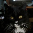 ���� �������, �����-���������, 47 ��� - ��������� 13 ��� 2016 � ������ ���� ����������