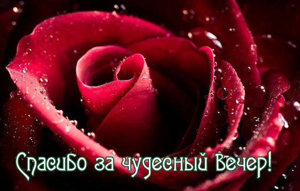 Р. ВСЕМ НАШИМ ДРУЗЬЯМ!!!! С ДУШЕВНЫМ ТЕПЛОМ И ЛЮБОВЬЮ!!! ВАША СТРАНИЧКА" ОБО ВСЁМ"