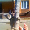 ���� Maksim, ������, 36 ��� - ��������� 26 ����� 2016 � ������ ������ ��������
