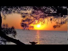 :) �. ������ - �������� �������� F. Schubert - Serenade