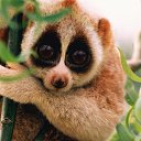 ���� �����, �������, 41 ��� - ��������� 16 ������ 2016 � ������ ���� ����������