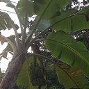 ���� �������, ����� ������� - ��������� 4 �������� 2016 � ������ ���� ����������