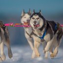 ���� ������, ������ - ��������� 23 ���� 2016 � ������ �Foto.ru�