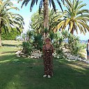 ���� �������, ������ - ��������� 28 ������� 2016 � ������ �������� 2016�