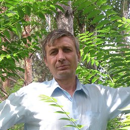 Octav, , 54 
