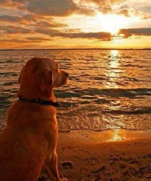 E s t h e t i q u e - 28  2016  06:55 - 2