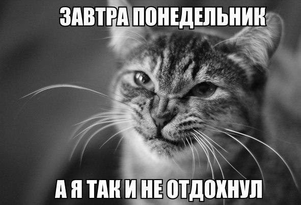    :D - 22  2016  08:03