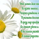 ���� ������, �����-���������, 61 ��� - ��������� 26 ���� 2016 � ������ ������ ��������