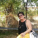 ���� "������" �� ������� ���� ����������