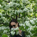 ���� ����, ������, 50 ��� - ��������� 26 ��� 2016 � ������ ���� ����������