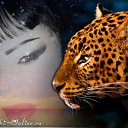  ..-157-,  -  30  2016    